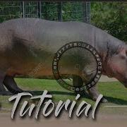 Zbrush Using Spotlight For Background Images 09