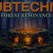 Dub Techno For Deep Focus 120 BPM FOREST RESONANCE