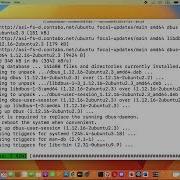 Command Mysql Secure Installataion Not Found Did You Mean Command Mysql Secure Installation