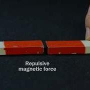 Video Lab Magnetic Forces