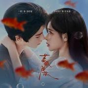 Yi Hang Lin Junyi The Falling Rose