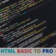 HTML Forms Check Boxes And Radio Buttons HTML Basic To Pro 2022