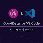 1 GoodData For VS Code Introduction