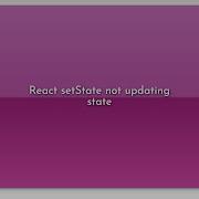 React SetState Not Updating State