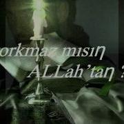 Tolga Tabu Sana Değmezmiş
