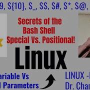 Linux Script Special Vs Positional Parameters