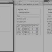 Video Demonstration Of Coding Dojo Red Belt Exam