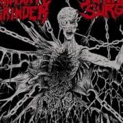 Mammoth Grinder Pulverizer