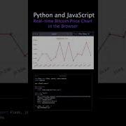 Real Time Bitcoin Price Chart With Python And JavaScript