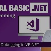 Visual Basic NET Programming Beginner Debugging Code