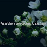 Hazy Nights Because Subtitulado Español