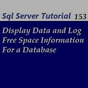 Display Free Space In SQL Server Database
