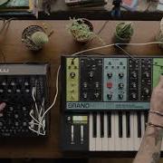 Moog Semi Modular Synthesizers Interconnectivity I