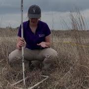 VEGETATION Vegetation Survey Basics