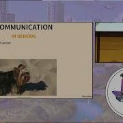 Lessons Learned Maintaining Open Source Python Projects Bernat Gabor PyTexas 2024