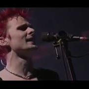 Muse New Born La Route Du Rock Saint Malo France 8 11 2001