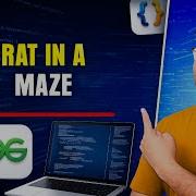 Rat In A Maze Problem Backtracking Explained Step By Step Java DSA