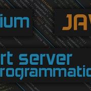 How To Start Appium Server Programmatically Through Java Code With Custom Arguments