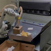 AI Powered Robotic Parcel Singulation Demo
