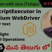 P25 JavascriptExecutor In Selenium WebDriver త ల గ