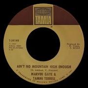 Marvin Gaye Tammi Terrell Ain T No Mountain High Enough 1967 Soul Purrfection Version