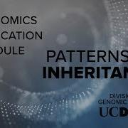 Genomic Education Module GEM Patterns Of Inheritance
