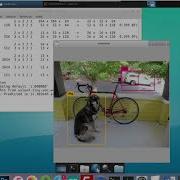 Odroid Run Tiny Yolov2 Object Detection