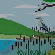 What Is A Floodplain