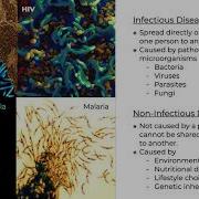 Session 1 Bioinformatics For Infectious Diseases Next Generation Sequencing