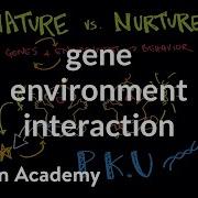Gene Environment Interaction Behavior MCAT Khan Academy