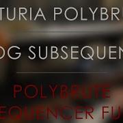 Sequencer Fun Arturia Polybrute Moog Subsequent 37