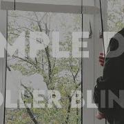Simple DIY Roller Blinds Shorts