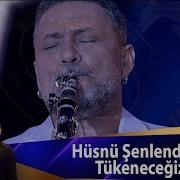 Hüsnü Şenlendirici Tükeneceğiz
