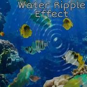 Water Ripple Effect Using Html5 And Jquery Plugin In Hindi