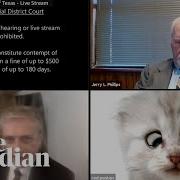 I M Not A Cat Lawyer Gets Stuck On Zoom Kitten Filter During Court Case