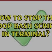 Unix Linux How To Stop The Loop Bash Script In Terminal 7 Solutions