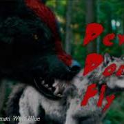 Twilight Wolves Devils Don T Fly