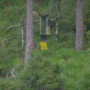 Blinktroll Moving Target System Training