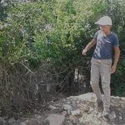 Bacak Kadar şeytan