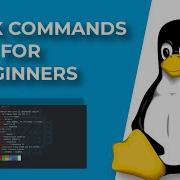10 Linux Commands Every Beginner Should Know