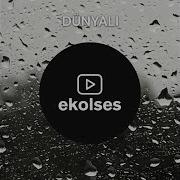 Dünyalı V10
