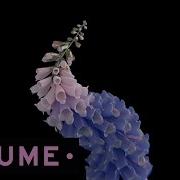 Flume Take A Chance Feat Little Dragon