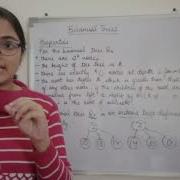 Binomial Trees Algorithms