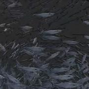 Fish Swarm Simulation In Blender With Particle Systems And Force Fields