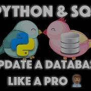 How To Manage A Database With Python Pandas SQL UPDATE A DB Professionally DO NOT SKIP THIS