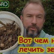 САМОЕ ЗАГАДОЧНОЕ СРЕДСТВО ДЛЯ САМОЙ ПЛОДОРОДНОЙ ПОЧВЫ в 150 раз дешевле и в 1000 раз эффективнее