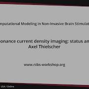 Magnetic Resonance Current Density Imaging Status And Challenges NIBS Workshop 2020