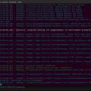 Puppet Enterprise Install Success Using Text Option 2