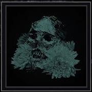 Soft Curse Liminal Ritual 2026 Full Album Stream