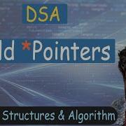 12 Wild Pointers Explained